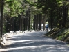 Mount Desert 2008 075