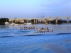 Charleston Rowers