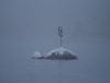 Hopewell Bay and Bustard Islands 065