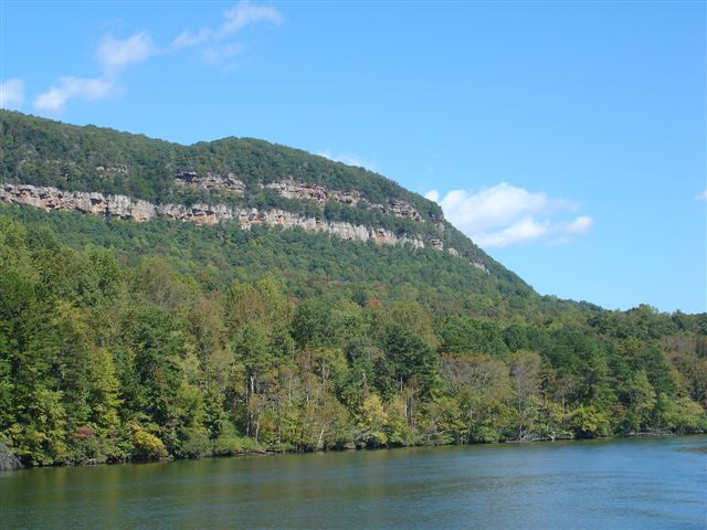 Cliffs thru TN River Gorge