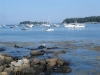 Tennants Harbor 018