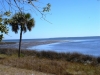 Apalach Bay