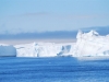 Antarctica photos 2 056