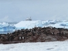 Antarctica photos 2 1216