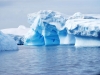 Antarctica photos 2 1275