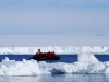 Antarctica photos 2 218