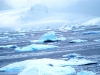 Antarctica photos 2 441