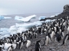 Antarctica photos 2 615