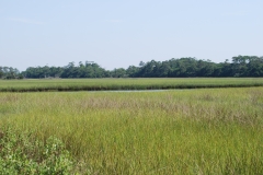 Bald Head Island 2015