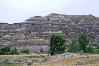 dsc_0013 dsc_0013