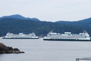 dsc_0180 dsc_0180