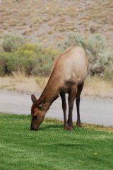 dsc_0244 dsc_0244