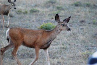 dsc_0338 dsc_0338