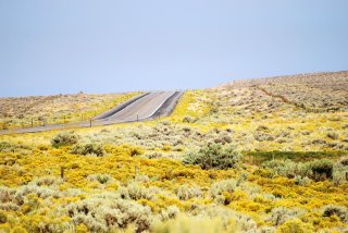 dsc_0329 dsc_0329