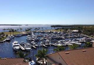 tarpon-marina