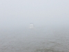 fog