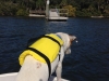 sebastian-life-jacket