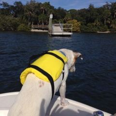 sebastian-life-jacket