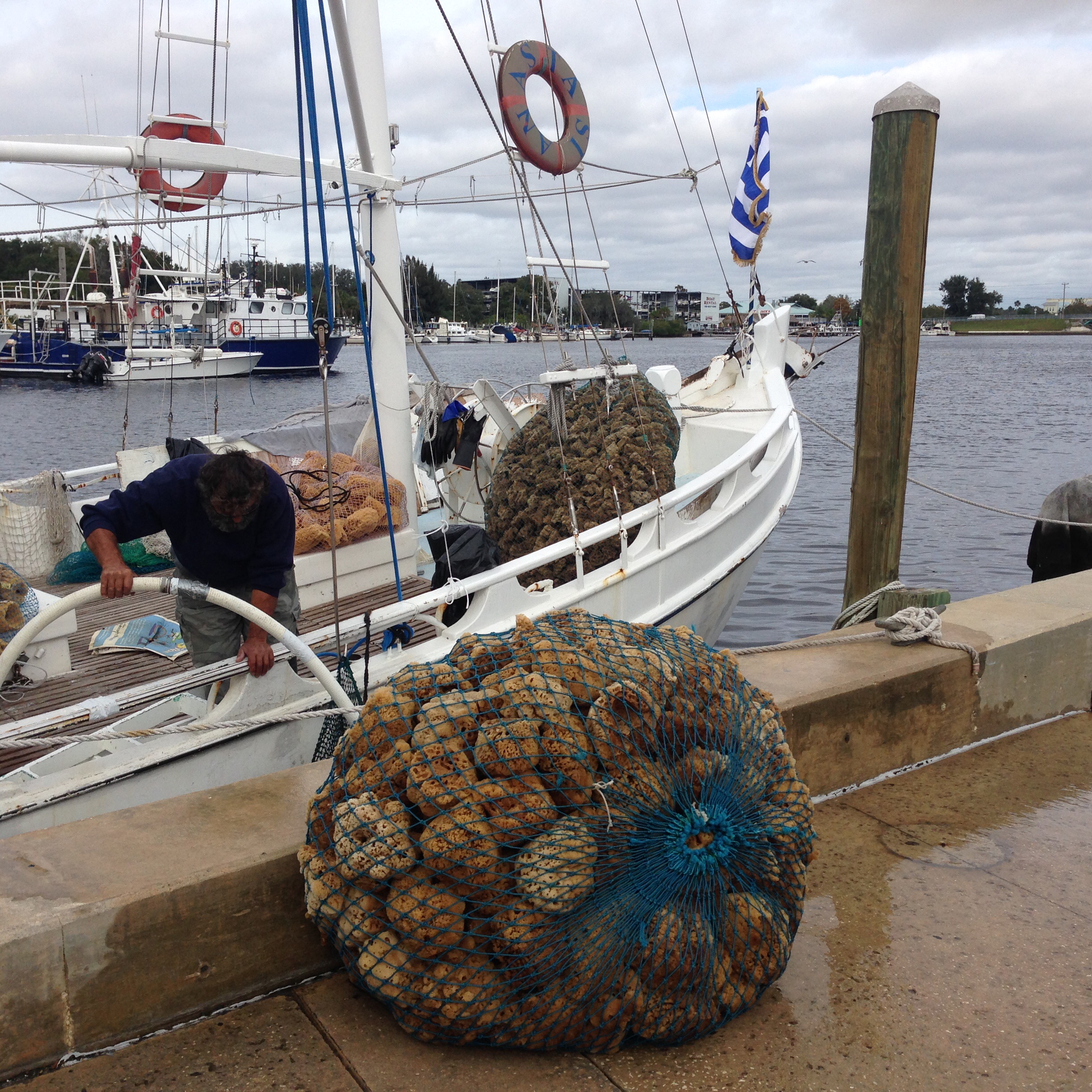 Manatee River Tide Chart