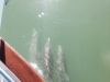 dolphin-7