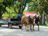 Mackinac 025