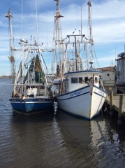 shrimp-boats