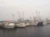 panama-fishing-fleet