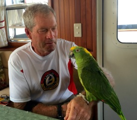 image_3
