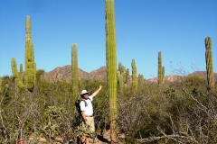 Sea of Cortez 2013