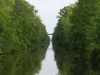 Dismal Swamp 054