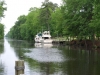 Dismal Swamp 067