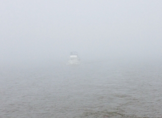 fog